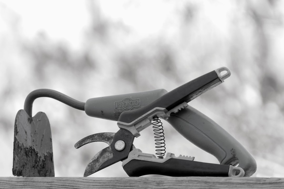 Bypass secateurs cutting a green garden stem