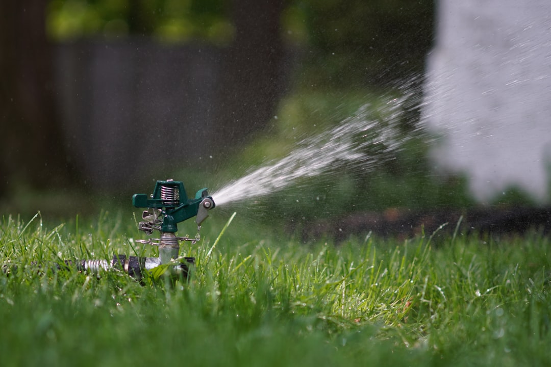 Garden sprinkler watering a green UK lawn