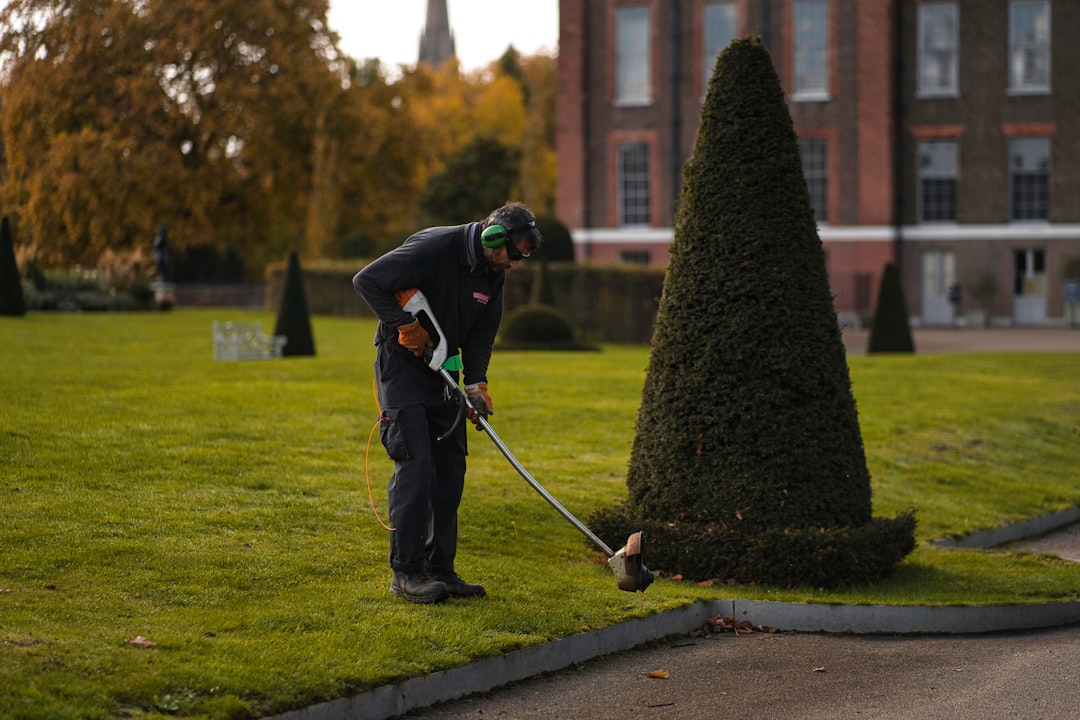 Gardener trimming a hedge in a UK garden with a cordless trimmer