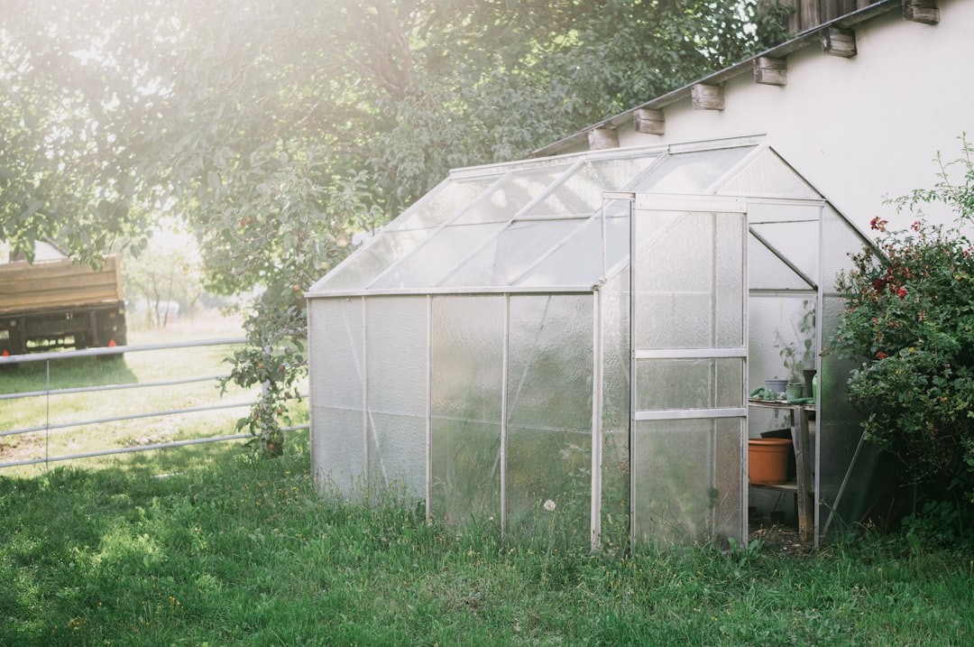 Small polycarbonate greenhouse in a UK backyard garden