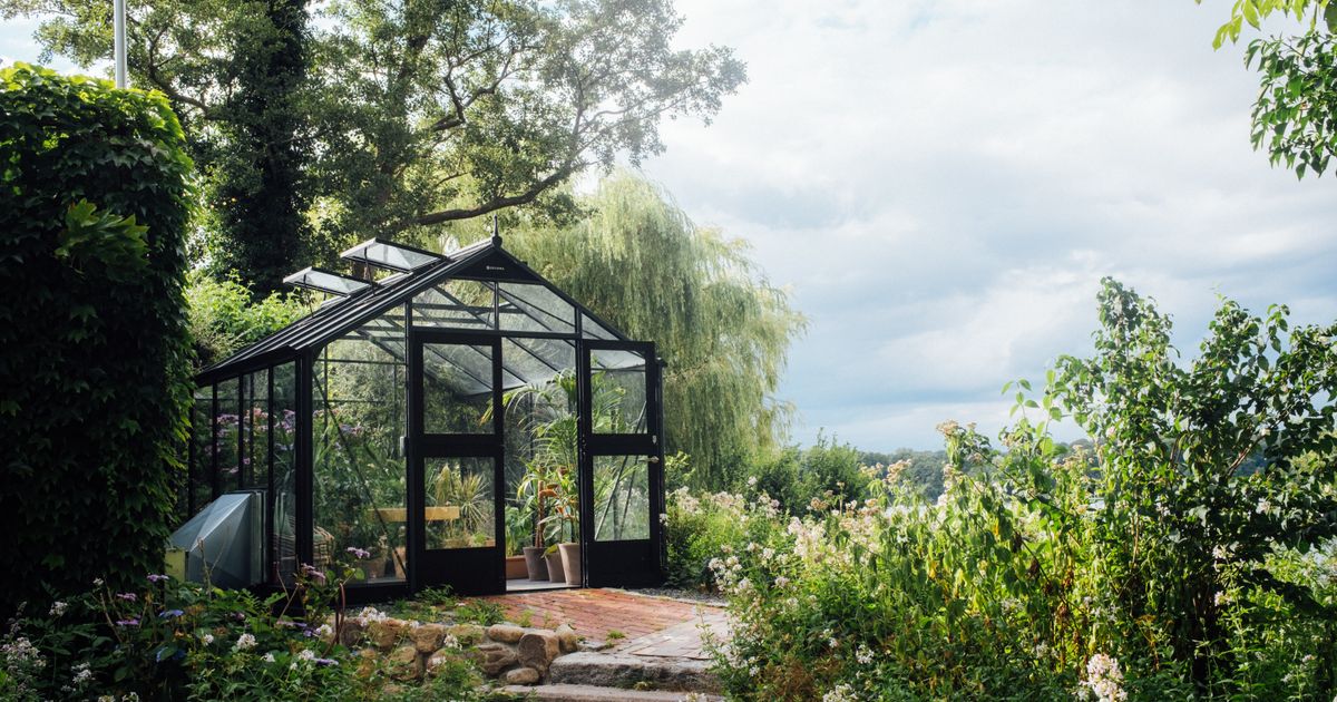 A glass greenhouse standing in a UK garden surrounded by green planting