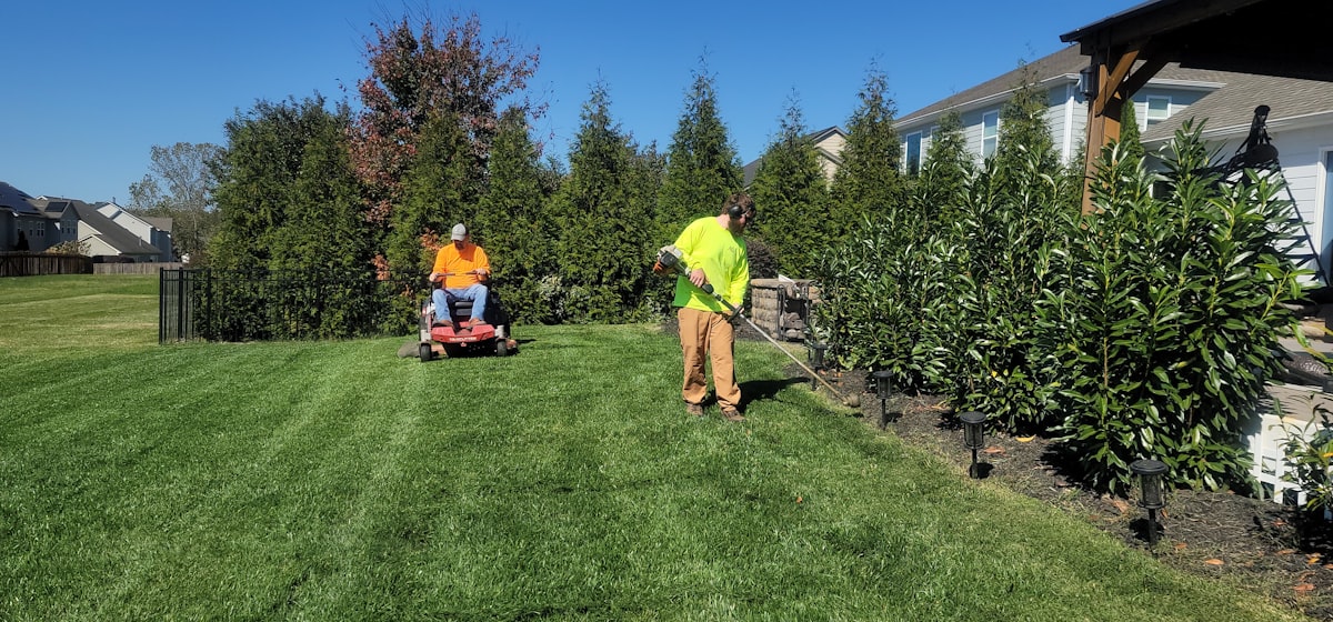 Lawn care in late summer - mowing and trimming the lawn edge