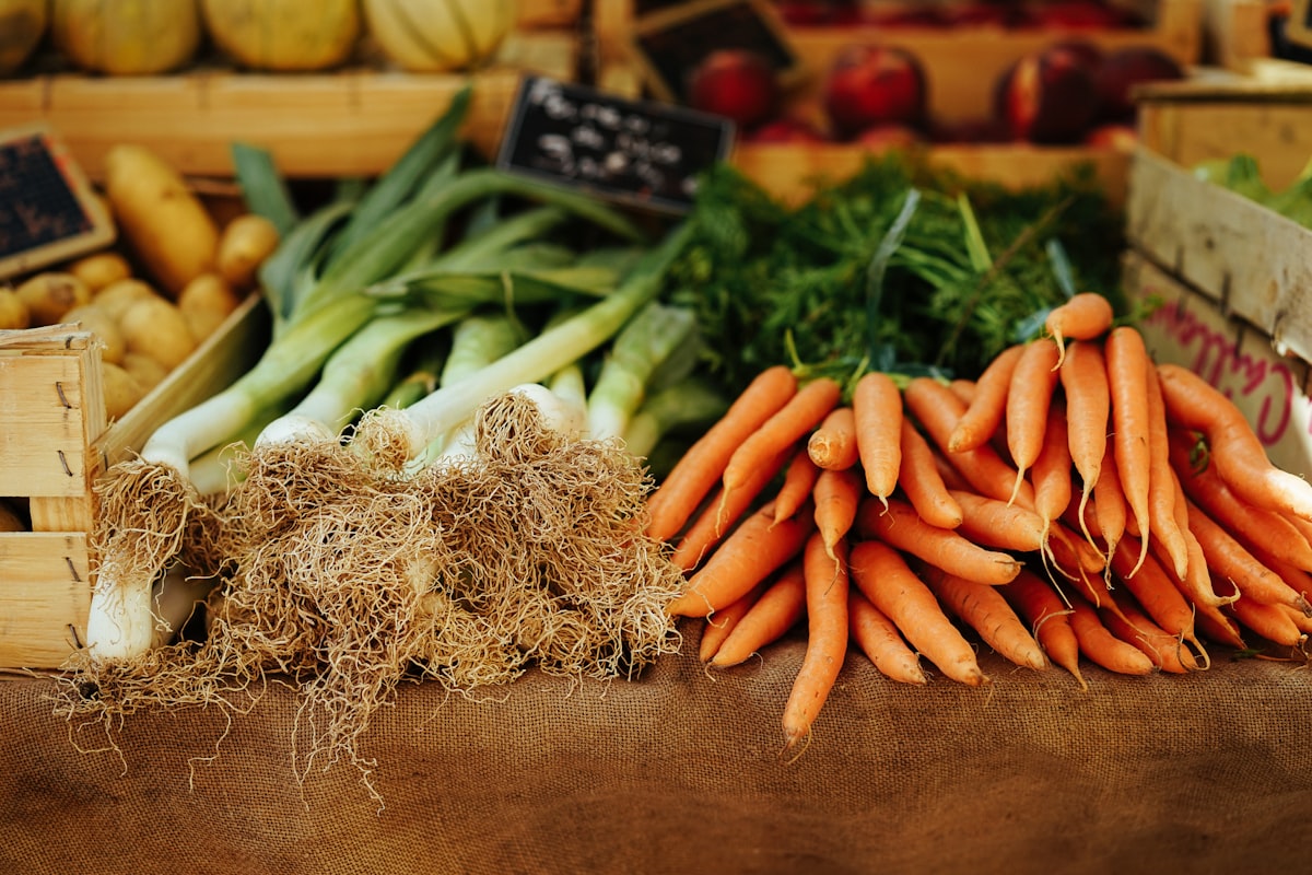 Natural pest control methods for UK gardens — neem oil spray, copper tape, and companion planting on a garden workbench