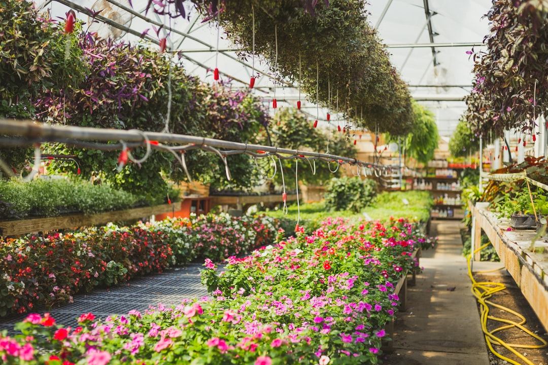 Preparing your greenhouse for autumn in the UK