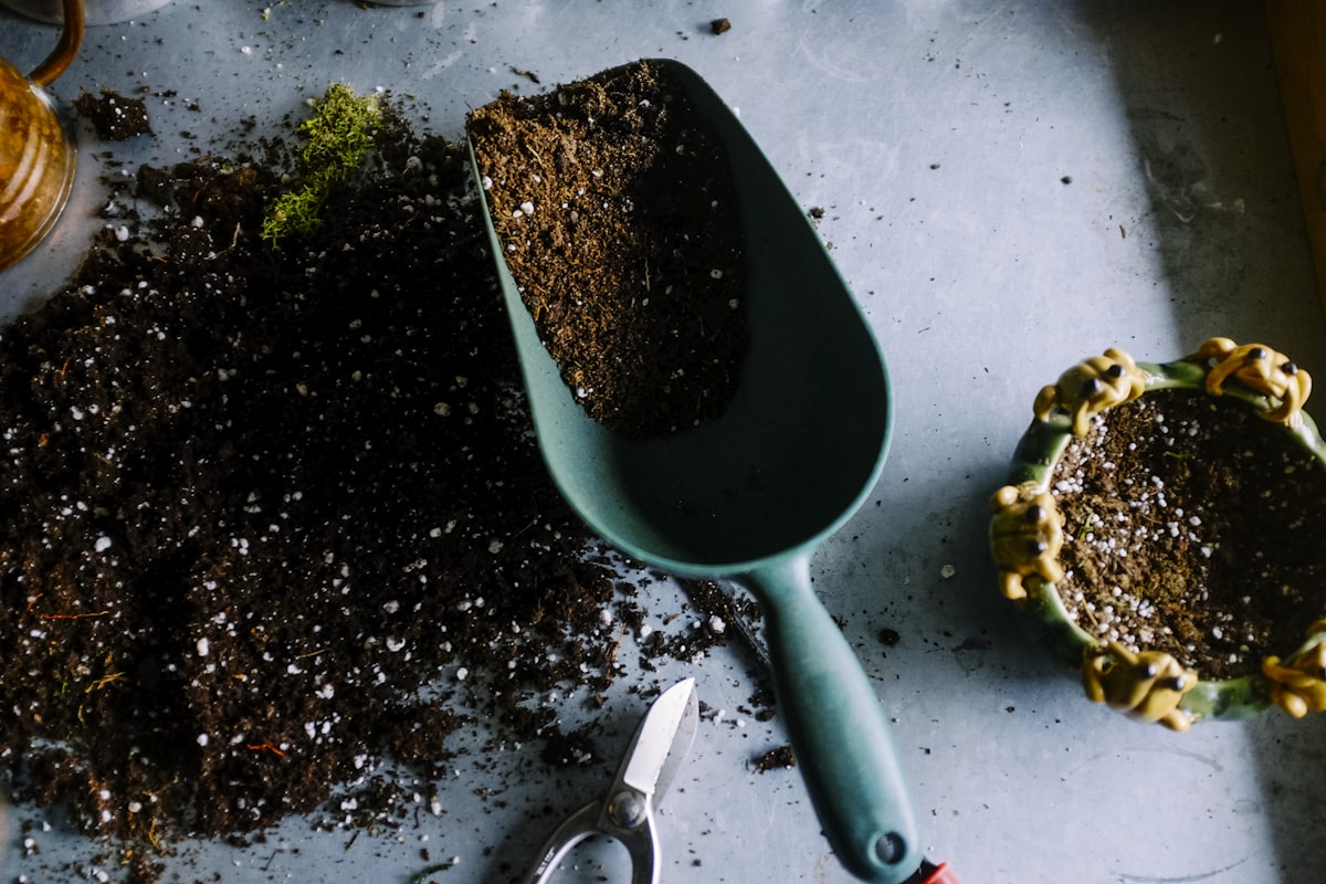 Garden pruning tools including secateurs, loppers and a folding saw
