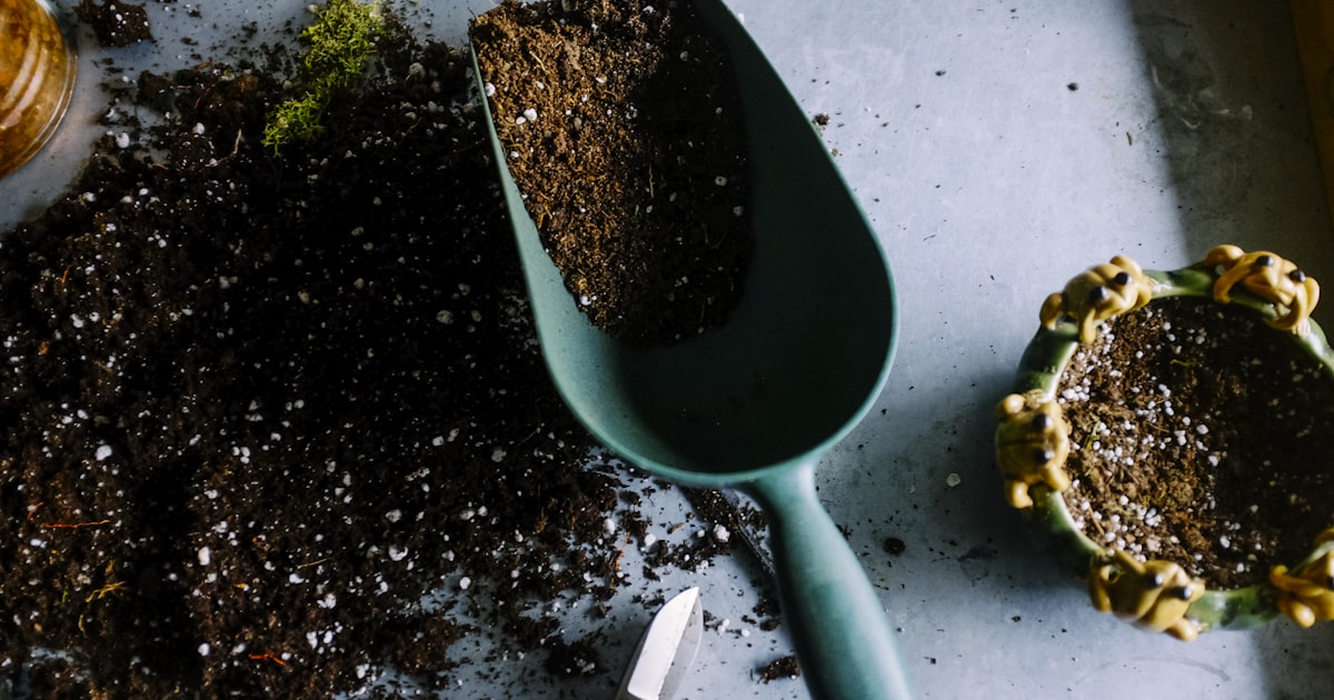 Garden fertiliser granules and liquid plant feed bottles side by side