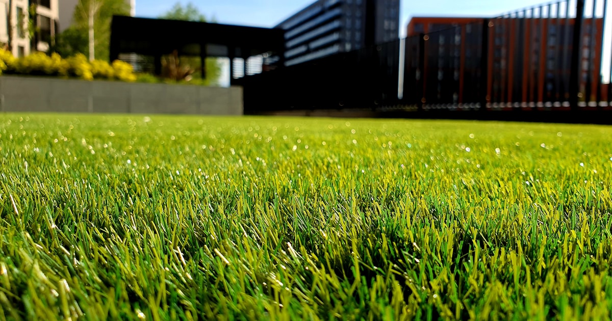 Lush green lawn with summer garden - UK grass care guide